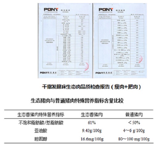 发酵床养生态大白猪