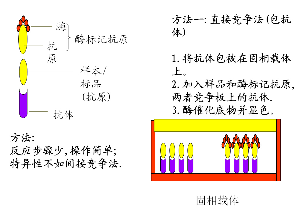 elisa试剂盒不可忽略的细节问题