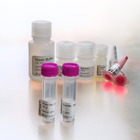 人类白细胞抗原-DNA分型试剂盒
